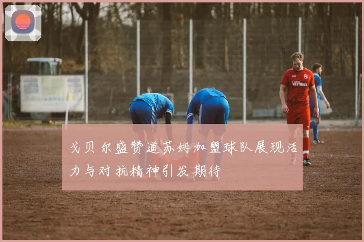 戈贝尔盛赞道苏姆加盟球队展现活力与对抗精神引发期待