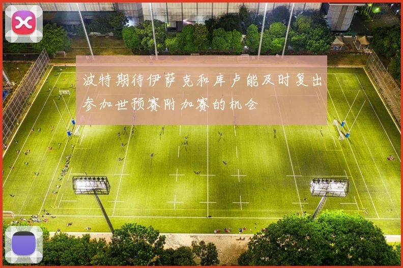 波特期待伊萨克和库卢能及时复出参加世预赛附加赛的机会