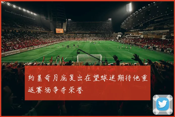 约基奇月底复出在望球迷期待他重返赛场争夺荣誉