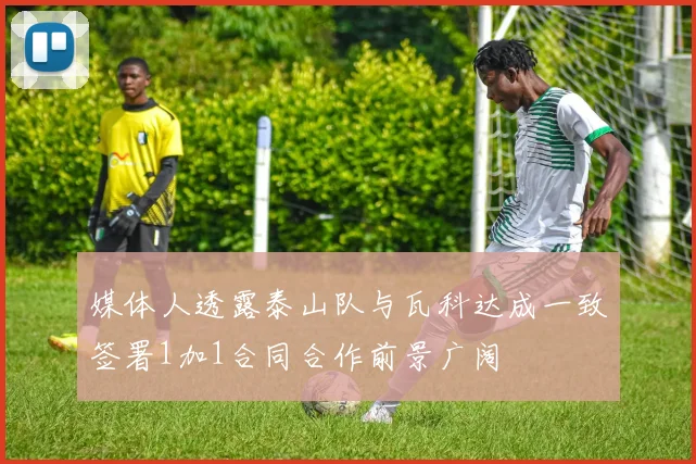 媒体人透露泰山队与瓦科达成一致签署1加1合同合作前景广阔